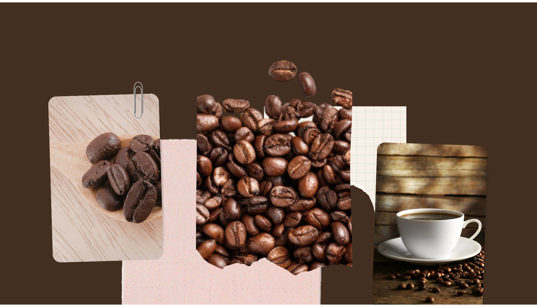 A single neat pile of coffee beans beside several smaller mixed piles, suggesting single origin versus a blend, in warm light.