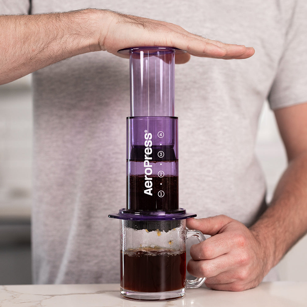 AeroPress Clear Coffee Maker (Purple) - Amici Coffee Store
