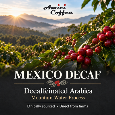 Arabica coffee farm landscape, origin of Amici Decaffeinated Arabica, Mountain Water Process