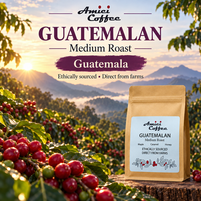 Coffee farm landscape in Huehuetenango, Guatemala, origin of Amici Guatemalan Single Origin