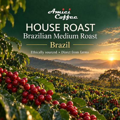 Coffee cherries growing on the branch at a Brazilian coffee farm at sunrise, origin of Amici House Roast