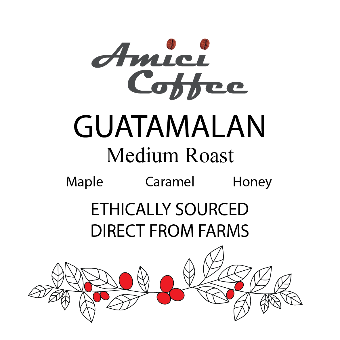 Guatemalan Single Origin - Amici Coffee Store